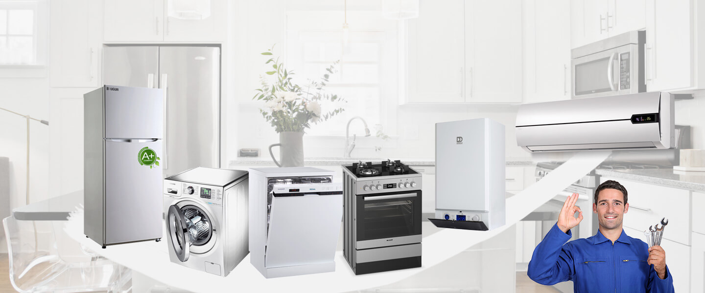 Havran Smeg Servisi